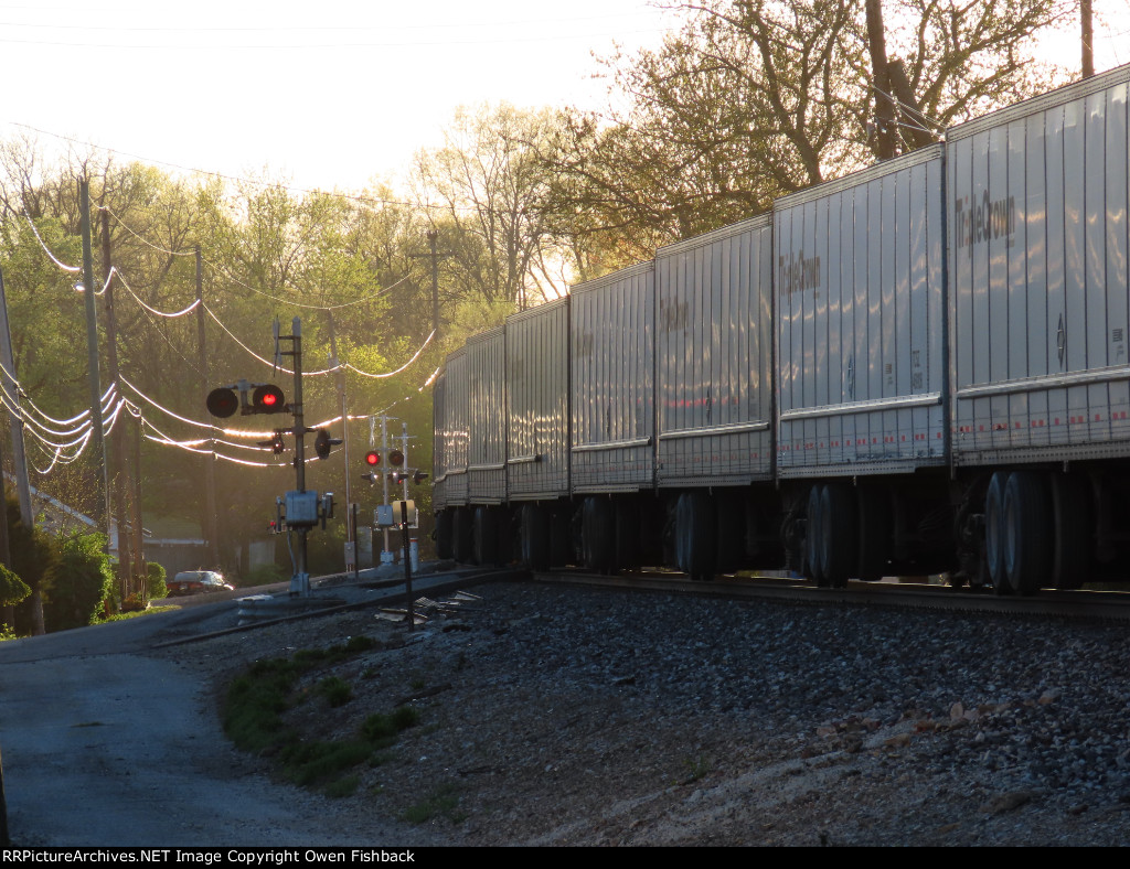 NS 256